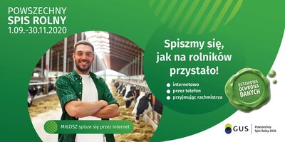 Grafika dekoracyjna